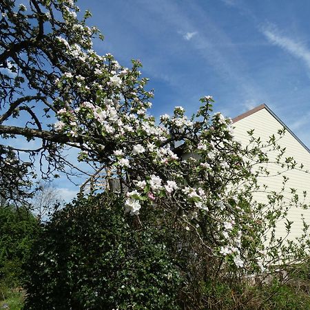 Au Val Des Meuris Bed & Breakfast Taintrux Екстериор снимка