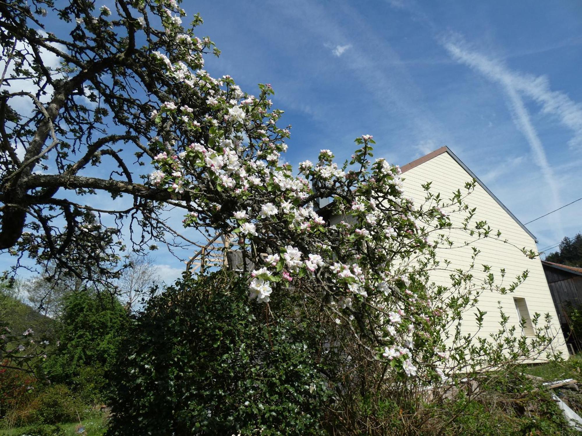 Au Val Des Meuris Bed & Breakfast Taintrux Екстериор снимка